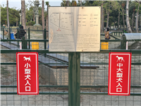 Image_0