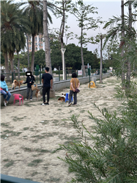 Image_7