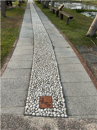 Image_13