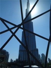Image_281