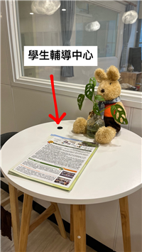 Image_2
