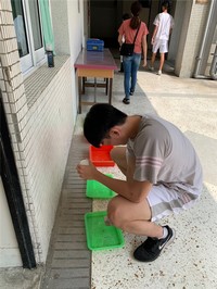 Image_6