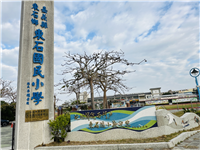 Image_1