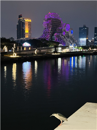 Image_30