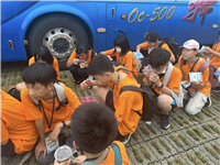 Image_145