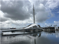 Image_104