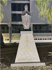 Image_6