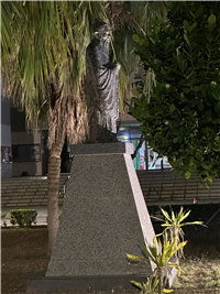 Image_5