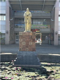 Image_8