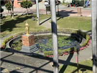 Image_11