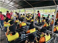 Image_38