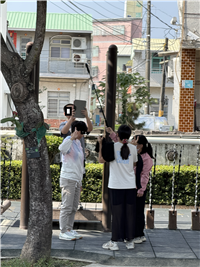Image_31