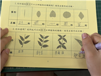 Image_51